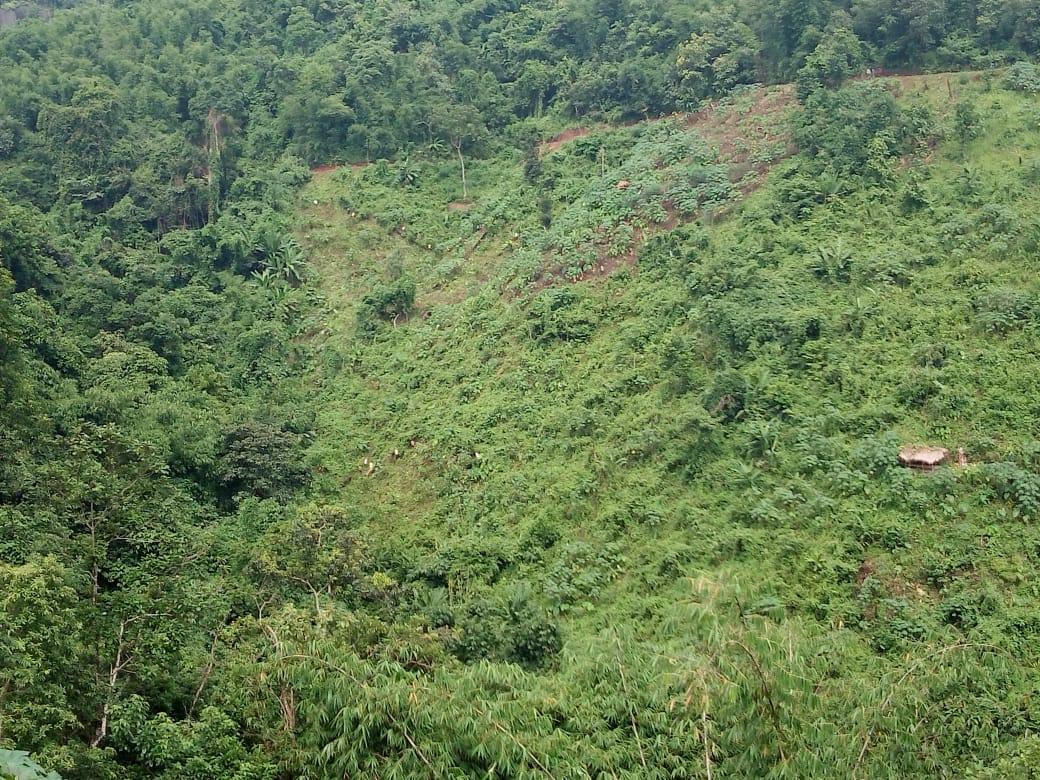 WhatsApp Image 2020-08-11 at 10.32.04 AM (1).jpeg